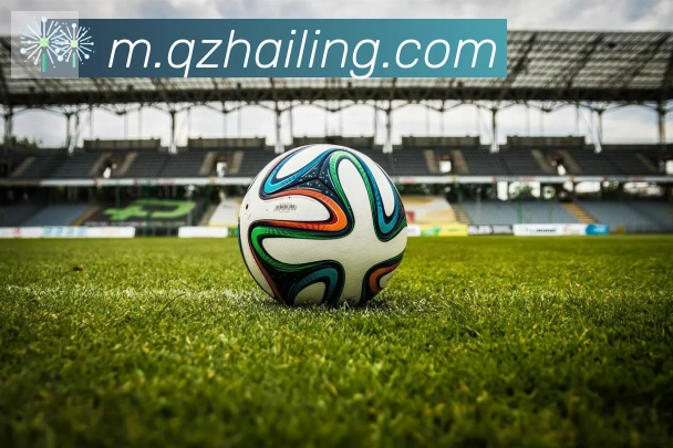 乐鱼网页版登录入口APP 封面图