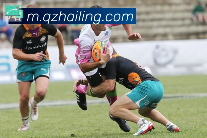 乐鱼网页版登录入口荣誉