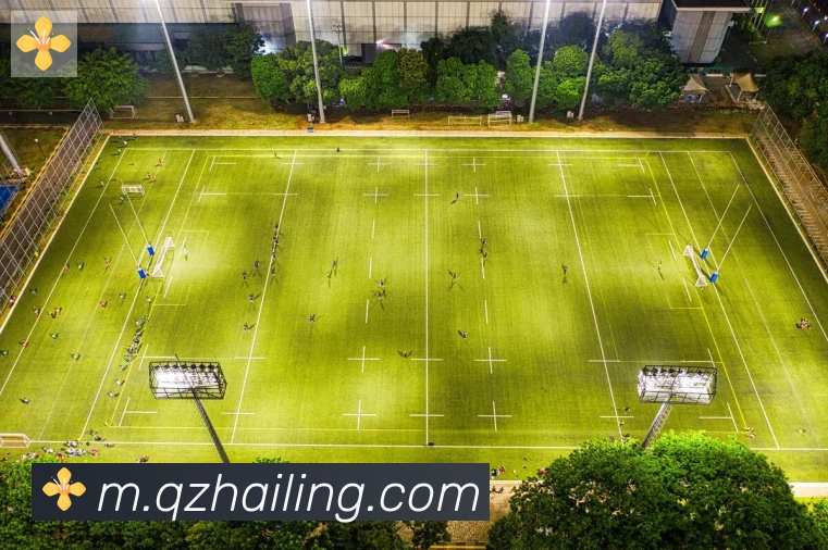 乐鱼网页版登录入口荣誉