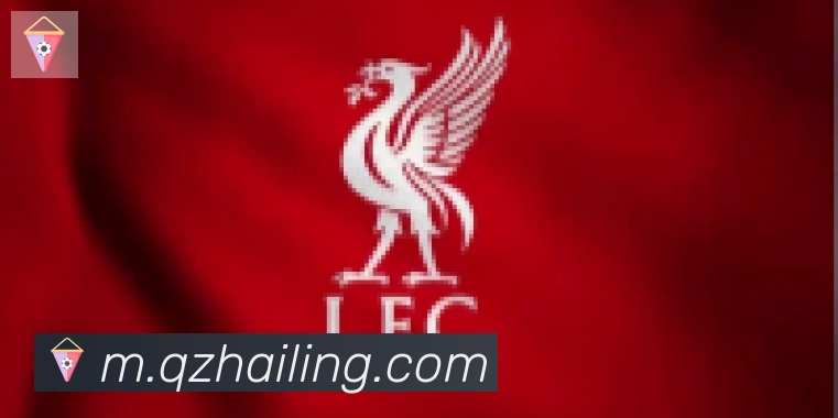 乐鱼网页版登录入口合作伙伴