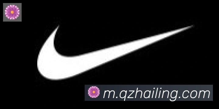 乐鱼网页版登录入口合作伙伴